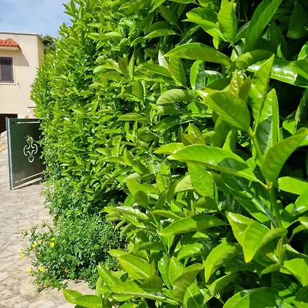 Bellavista Holiday home Selva Di Fasano